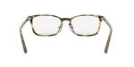 Rayban Optic RX7149D 2012 Havana - 5