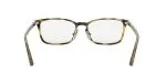 183_1763259238_2695 Rayban Optic RX7149D 2012 Havana - 5