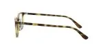 183_1763259238_7914 Rayban Optic RX7149D 2012 Havana - 4