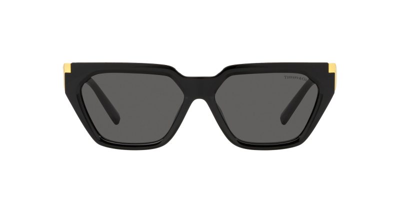 235_1763259327_5068 Tiffany & Co TF4205U 8001S4 Black/Dark Grey