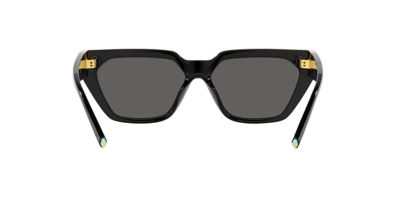 Tiffany & Co TF4205U 8001S4 Black/Dark Grey - 5
