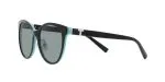 236_1763259330_2326 Tiffany & Co TF4209D 8055/1 Black on tiffany blue/Dark Grey - 3