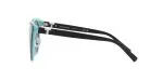 236_1763259331_3379 Tiffany & Co TF4209D 8055/1 Black on tiffany blue/Dark Grey - 4