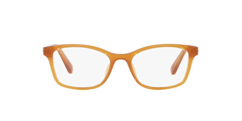 341_1763259398_1141 Coach x Disney Optic HC6216F 5748 Transparent Buttercup