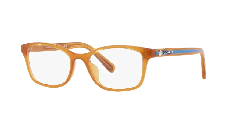 Coach x Disney Optic HC6216F 5748 Transparent Buttercup - 2