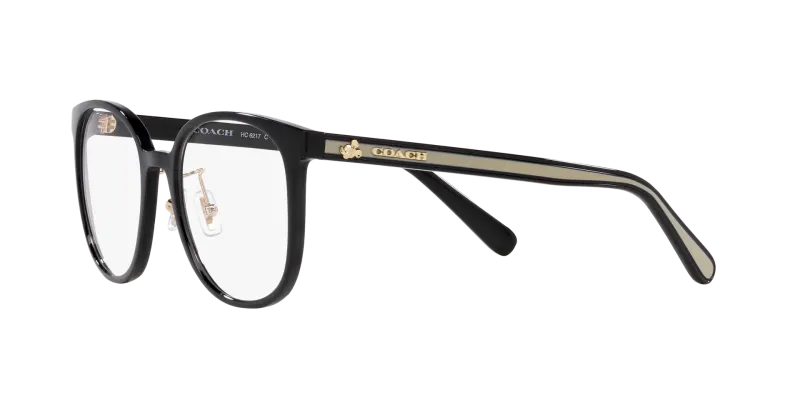 Coach x Disney Optic HC6217 5002 Black - 3