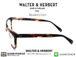 Walter&Herbert Optic Brooke A Col.1 Havana - 5