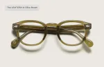 แว่น Moscot Lemtosh 46 Olive Brown แว่นตา Moscot แท้