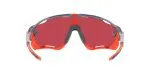 73_1763259020_3852 Oakley Jawbreaker OO9290-73 Space Dust/Prizm Snow Sapphire - 4