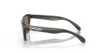 Oakley Frogskins XXS OJ9009-02 - Side View