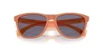 Oakley FROGSKINS OO9013-9013M1 - Folded View Oakley FROGSKINS OO9013-9013M1 - Folded View