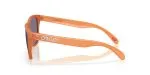 Oakley FROGSKINS OO9013-9013M1 - Side View Oakley FROGSKINS OO9013-9013M1 - Side View