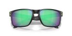 Oakley HOLBROOK OO9102-9102AI - Folded View