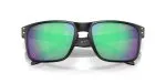 Oakley HOLBROOK OO9102-9102AI - Folded View Oakley HOLBROOK OO9102-9102AI - Folded View