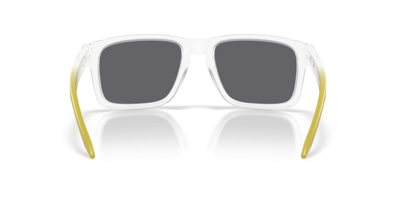Oakley HOLBROOK OO9102-9102AP - Back View
