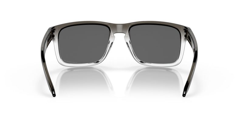 Oakley HOLBROOK OO9102-9102O2 - Back View