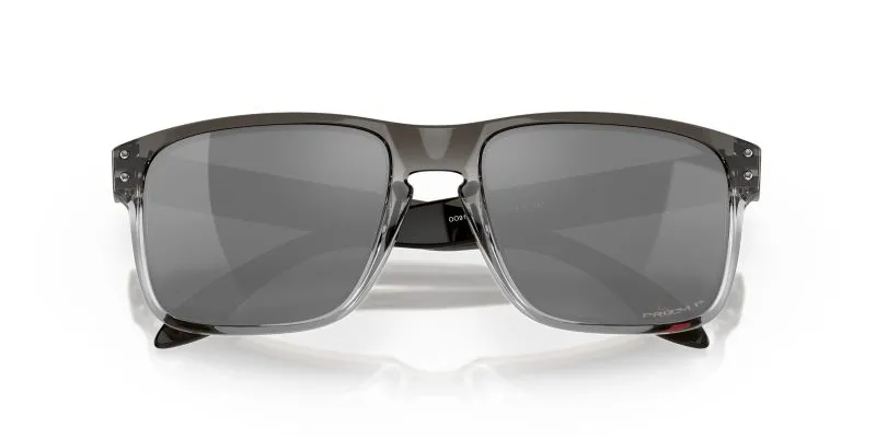 Oakley HOLBROOK OO9102-9102O2 - Folded View