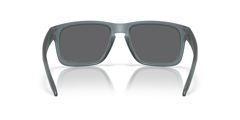 Oakley HOLBROOK OO9102-9102Z4 - Back View