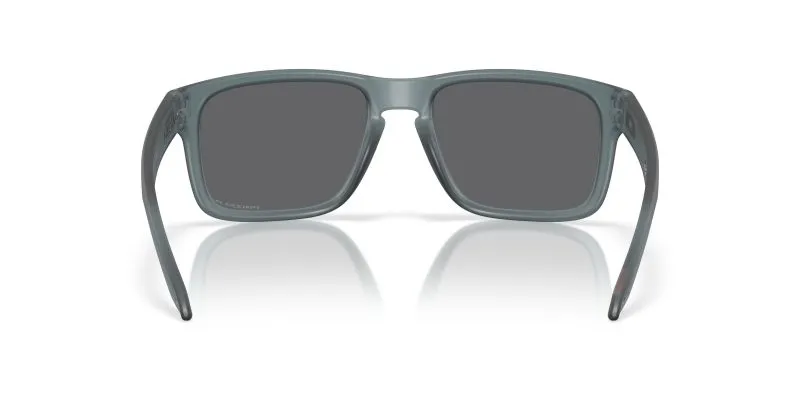 Oakley HOLBROOK OO9102-9102Z4 - Back View