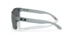 Oakley HOLBROOK OO9102-9102Z4 - Side View Oakley HOLBROOK OO9102-9102Z4 - Side View