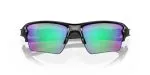 Oakley FLAK 2.0 XL OO9188-05 - Folded View