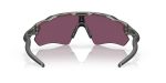 Oakley RADAR EV PATH OO9208-920882 - Back View