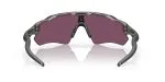 Oakley RADAR EV PATH OO9208-920882 - Back View