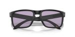 Oakley HOLBROOK (A) OO9244-924471 - Folded View