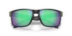 Oakley HOLBROOK (A) OO9244-924483 - Folded View