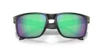 Oakley HOLBROOK (A) OO9244-924483 - Folded View Oakley HOLBROOK (A) OO9244-924483 - Folded View