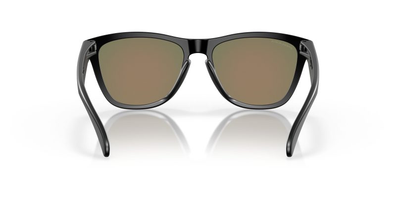 Oakley FROGSKINS (A) OO9245-924563 - Back View