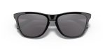 Oakley FROGSKINS (A) OO9245-924575 - Folded View