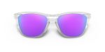 Oakley FROGSKINS (A) OO9245-924596 - Folded View