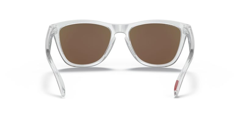 Oakley FROGSKINS (A) OO9245-9245A7 - Back View