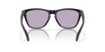 Oakley FROGSKINS (A) OO9245-9245E3 - Back View Oakley FROGSKINS (A) OO9245-9245E3 - Back View