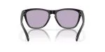 Oakley FROGSKINS (A) OO9245-9245E3 - Back View