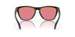 Oakley FROGSKINS (A) OO9245-9245E4 - Back View