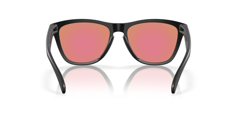 Oakley FROGSKINS (A) OO9245-9245E4 - Back View