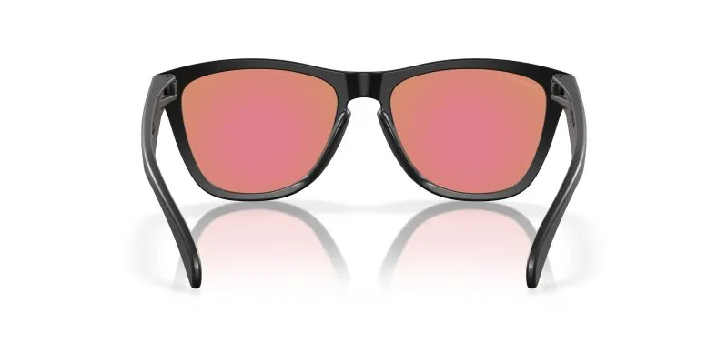 Oakley FROGSKINS (A) OO9245-9245E4 - Back View