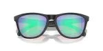 Oakley FROGSKINS (A) OO9245-9245E4 - Folded View Oakley FROGSKINS (A) OO9245-9245E4 - Folded View