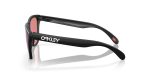 Oakley FROGSKINS (A) OO9245-9245E4 - Side View