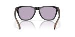 Oakley FROGSKINS (A) OO9245-9245E5 - Back View