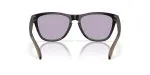 Oakley FROGSKINS (A) OO9245-9245E5 - Back View