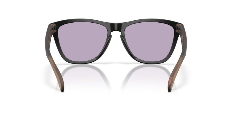 Oakley FROGSKINS (A) OO9245-9245E5 - Back View