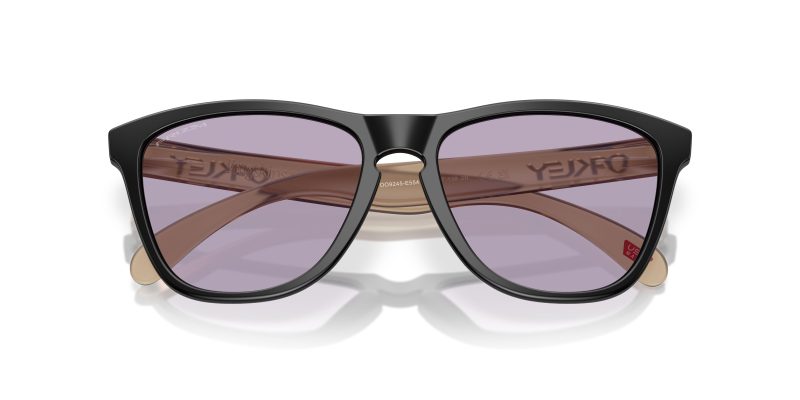 Oakley FROGSKINS (A) OO9245-9245E5 - Folded View