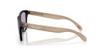Oakley FROGSKINS (A) OO9245-9245E5 - Side View