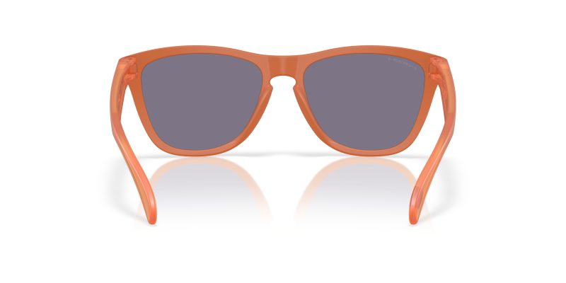 Oakley FROGSKINS (A) OO9245-9245E7 - Back View