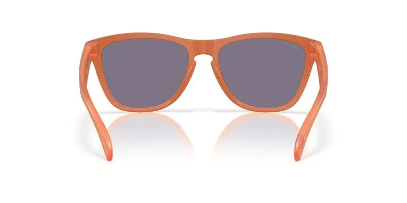 Oakley FROGSKINS (A) OO9245-9245E7 - Back View