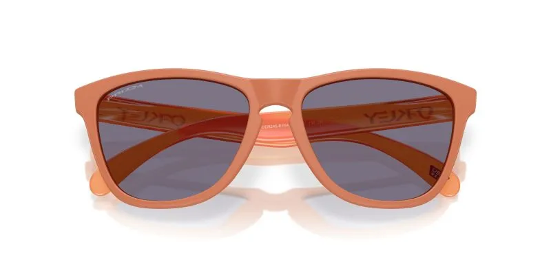 Oakley FROGSKINS (A) OO9245-9245E7 - Folded View