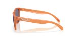 Oakley FROGSKINS (A) OO9245-9245E7 - Side View